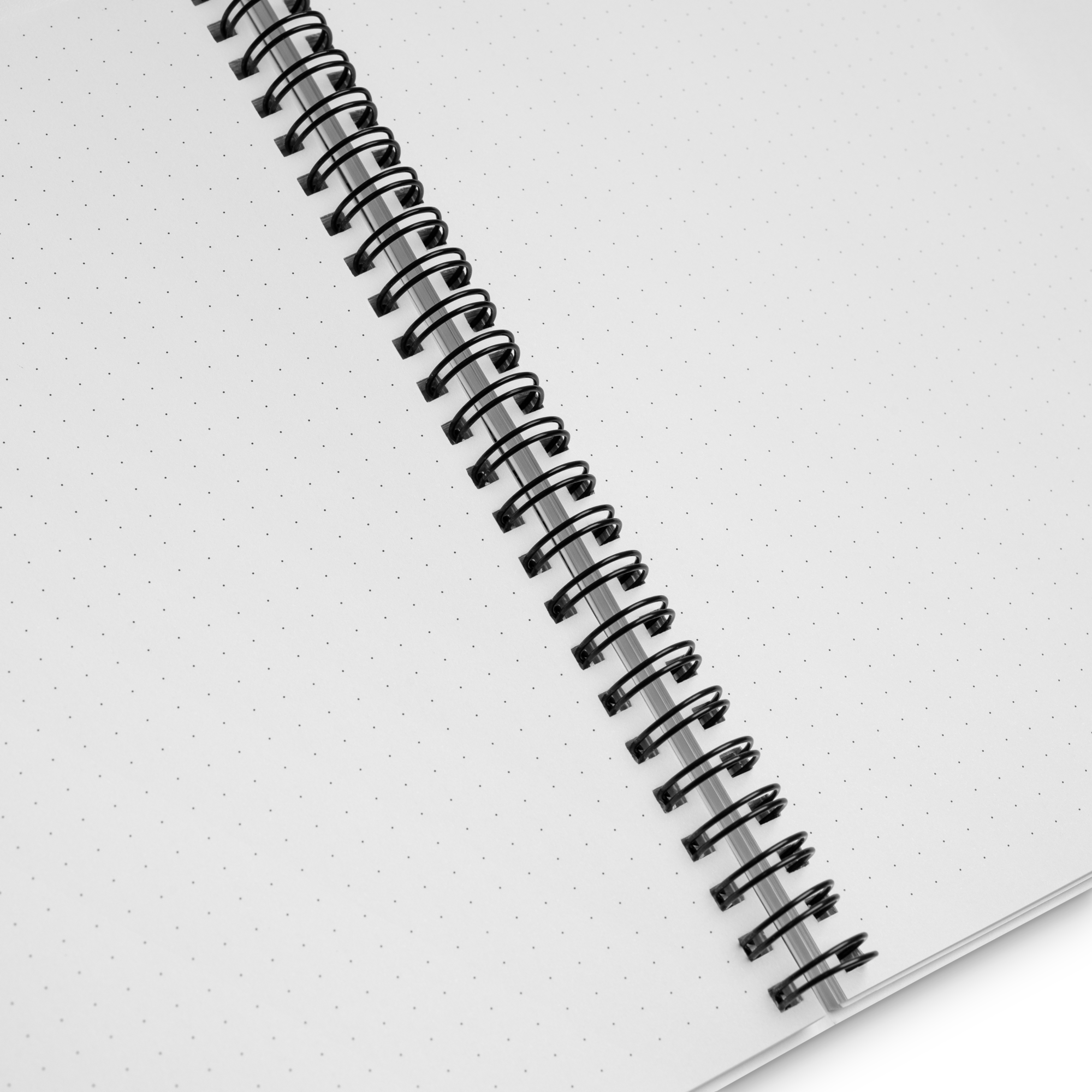 Carnet de Lumière – Journal de collection artistique